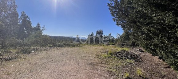 Terrain à Coimbra, Portugal 7550m² No. 61268 4