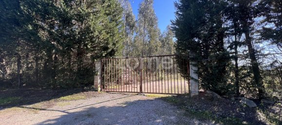 Terrain à Coimbra, Portugal 7550m² No. 61268 2