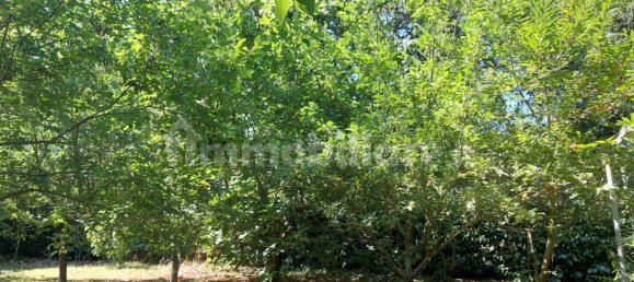 Terreno en Rocca di Papa, Italy 1215 m² No. 301250 7