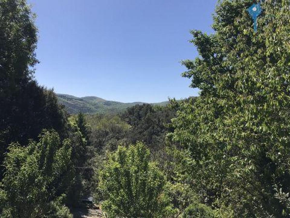 5 Schlafzimmer Haus in Le Vigan, France, Nr. 24951