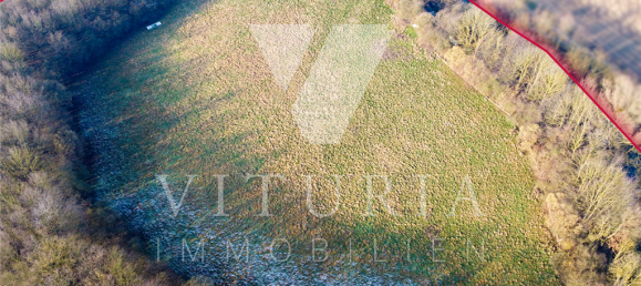 Terreno en Lippe, Germany No. 164742 2