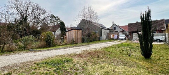 Grundstück in Absdorf, Austria, Nr. 202222 2