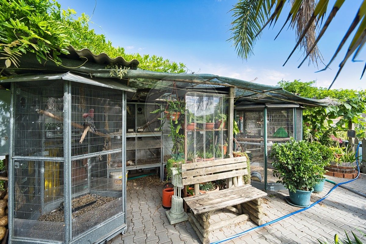 4 bedrooms House in Marinhais, Portugal No. 28281