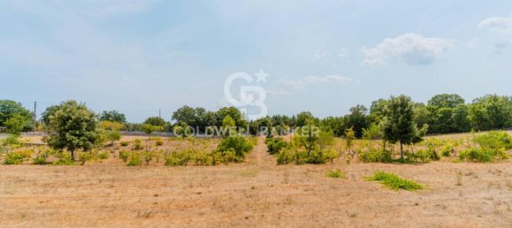 2 غرف نوم منزل في Locorotondo, Italy رقم 326950 25