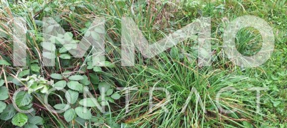 Terreno en Gmunden, Austria No. 40430 2