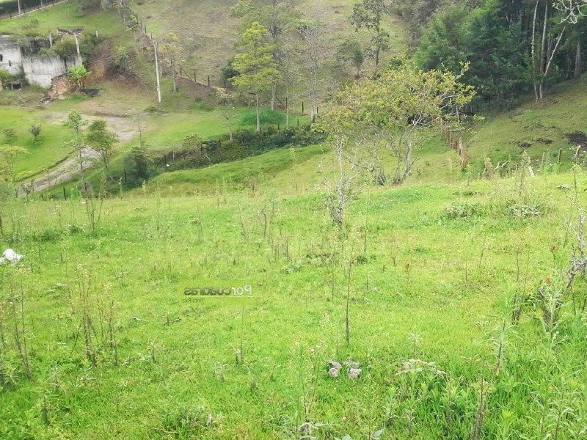  Land in Antioquia, Colombia No. 130