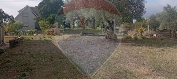 4 bedrooms House in Braganca, Portugal No. 169242 7