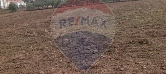 4 bedrooms House in Braganca, Portugal No. 169242 16