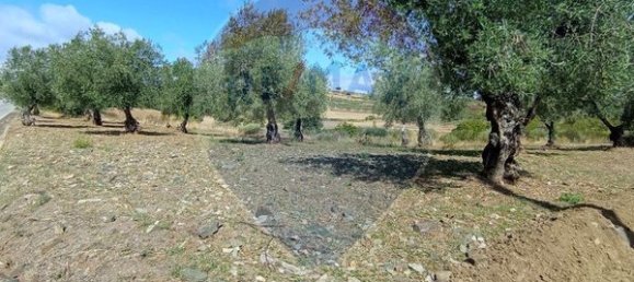 4 bedrooms House in Braganca, Portugal No. 169242 24