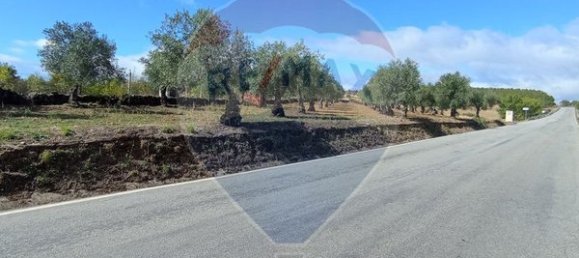 4 bedrooms House in Braganca, Portugal No. 169242 17