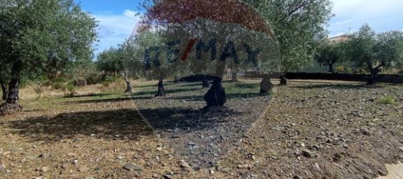 4 bedrooms House in Braganca, Portugal No. 169242 20