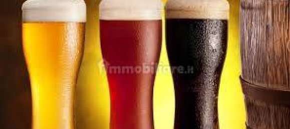 3 rooms Commercial property in Piacenza, Italy No. 223864 18