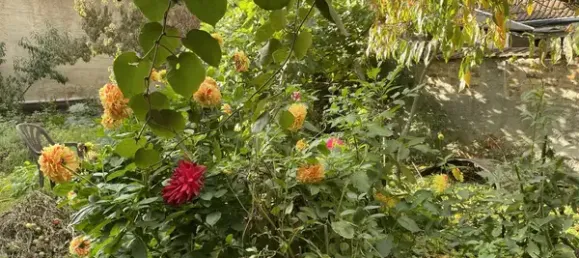 6-Zimmer Haus in Anhalt-Bitterfeld, Germany, Nr. 343654 5