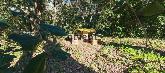 4 bedrooms House in Caldes de Malavella, Spain No. 110896 37