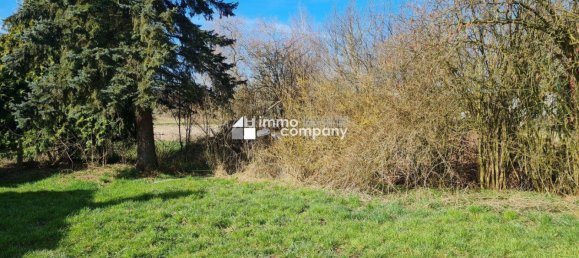 Земельный участок в Гунскирхен, Австрия № 165977 4