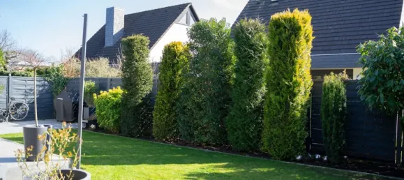 3 chambres Maison à Krefeld, Germany No. 70624 6