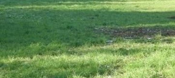 1000m² Land in San Maurizio Canavese, Italy No. 255884 5