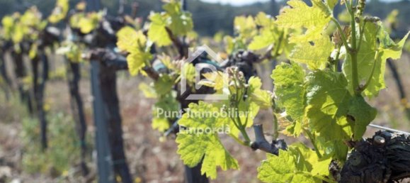 Terrain à Garriguella, Spain 564m² No. 73569 11