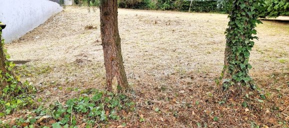 Grundstück in Euskirchen, Germany, Nr. 239379 6