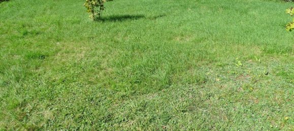  قطعة أرض في Lorrach, Germany رقم 292306 5