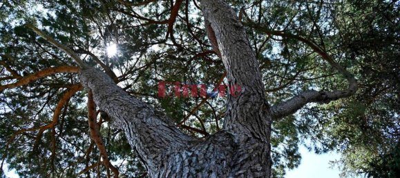 4 chambres Villa à Albisola Superiore, Italy No. 125754 5