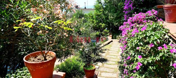 4 chambres Villa à Albisola Superiore, Italy No. 125754 46