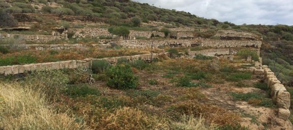 Terrain à Guimar, Spain No. 156814 13