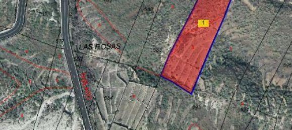 Terrain à Guimar, Spain No. 156814 12