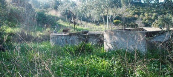 Casa T2 em Tomar, Portugal N.º 14491 22