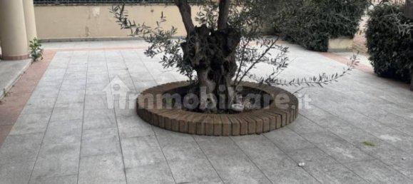 Propiedad comercial de 2 habitaciónes en Olbia, Italy No. 107640 3