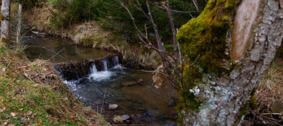 2 chambres Appartement à Overath, Germany No. 57460 13