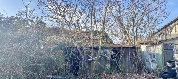 Propriété commerciale à Brandenburg, Germany No. 80550 3