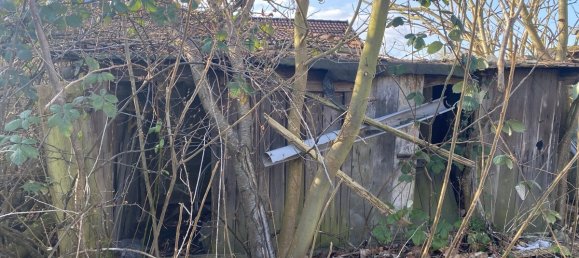 Propriété commerciale à Brandenburg, Germany No. 80550 4