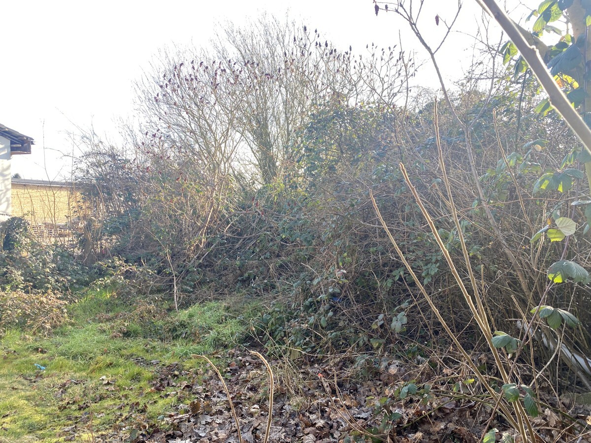 Propriété commerciale à Brandenburg, Germany No. 80550