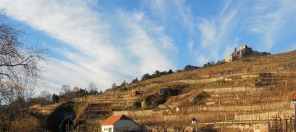 3 rooms Apartment in Durnstein, Austria No. 59642 5