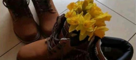 1 Schlafzimmer Wohnung in Vorpommern-Greifswald, Germany, Nr. 292285 15