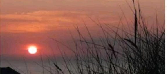 1 Schlafzimmer Wohnung in Vorpommern-Greifswald, Germany, Nr. 292285 17