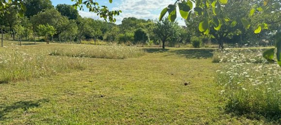 5 chambres Maison à Vienne, France No. 342343 16