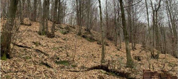 9 rooms Apartment in Martiniana Po, Italy No. 279504 14