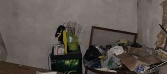 9 rooms Apartment in Martiniana Po, Italy No. 279504 6