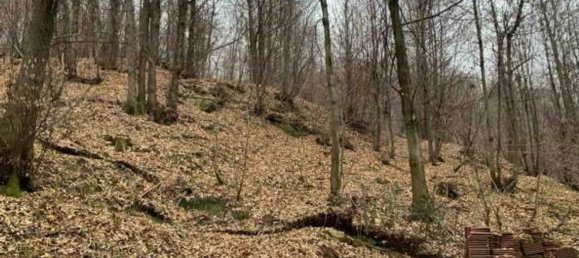 9 rooms Apartment in Martiniana Po, Italy No. 279504 5