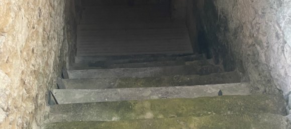 6 Schlafzimmer Haus in Semblancay, France, Nr. 212455 65