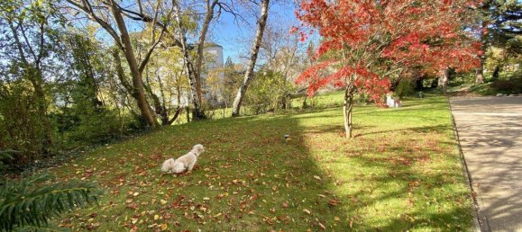 3 rooms Apartment in Dobling, Austria No. 7117 6