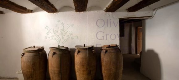 8 bedrooms Townhouse in Biar, Spain No. 164233 43