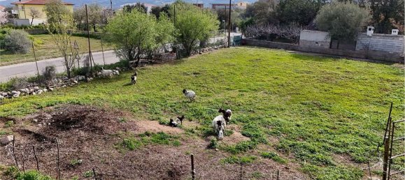 Terreno em Siniscola, Italy 800 m² N.º 144347 5