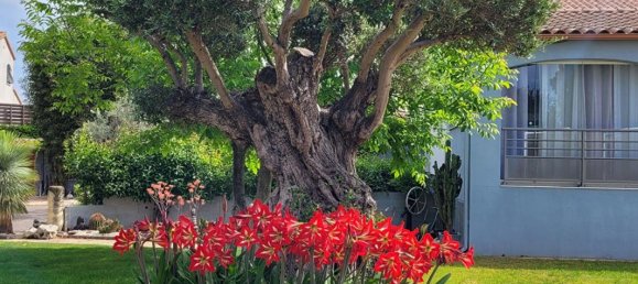 6 bedrooms Villa in Frontignan, France No. 309106 4