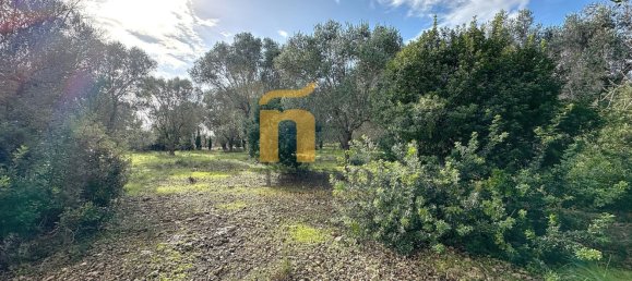 Terreno em Porto Cesareo, Italy 16070 m² N.º 145095 7