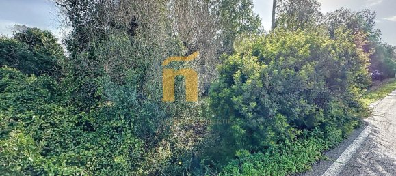 Terreno em Porto Cesareo, Italy 16070 m² N.º 145095 2