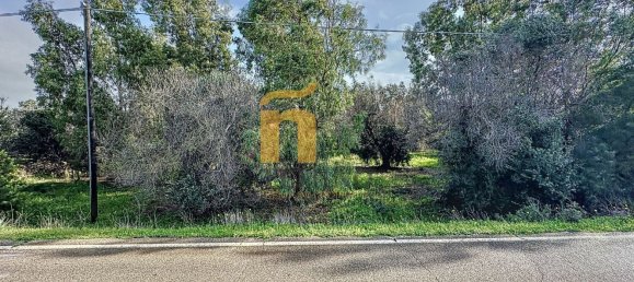 Terreno em Porto Cesareo, Italy 16070 m² N.º 145095 3