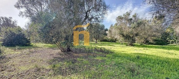 Terreno em Porto Cesareo, Italy 16070 m² N.º 145095 19